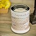 Elanze Designs Footprints in The Sand Ceramic Stoneware Electric Large Jar Candle Warmer
