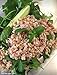Roasted Rice Powder with Fragrant Herbs 3 oz.