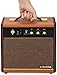 ClearClick Active Bluetooth Speaker - Vintage Retro 70's 80's Guitar Amp Style - Premium Wood & Faux Leather Design