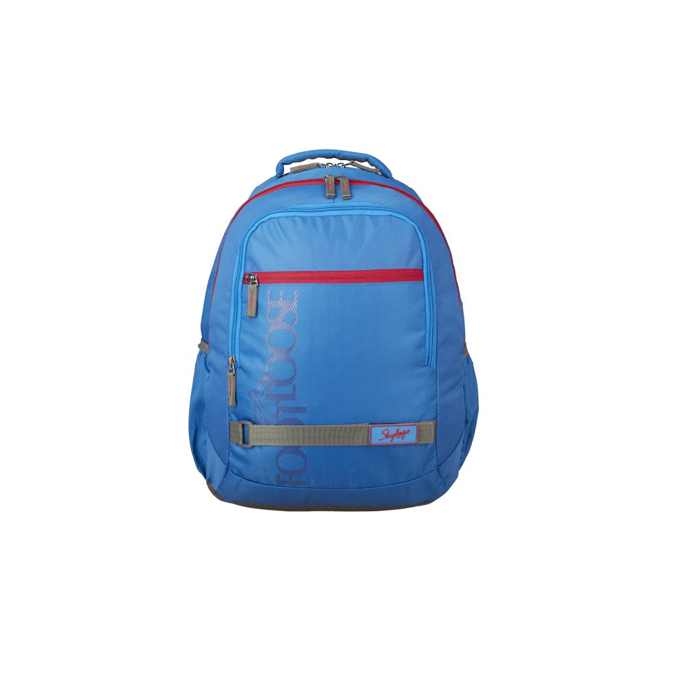 Buy Skybags 29 Ltrs Blue Casual Backpack (BPTAZ1BLU) at Amazon.in