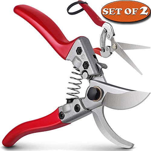 HyleJhJy 8″ Bypass Pruning Shears with Stainless SK5 Steel Blades + Straight Tip Pruning Shears Herb Pruning Shears Florist Scissors- Hand Pruner Scissors for Garden Harvesting Fruits Vegetables,Red