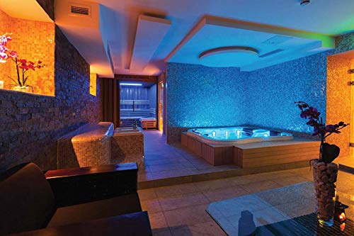 SpotGlo Submersible LED Lights Waterproof Remote Control Lights RGB Changing LED Lights Battery Operated for Pond Pool Fountain Aquarium Vase Hot Tub Bathtub Event Party and Home Decoration 2 Pack