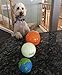 Outward Hound Planet Dog Orbee-Tuff Sol Ball Orange Treat-Dispensing Dog Toy