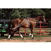 Leaders Training or Lungeing Aid for Horse
