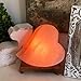 Himalayan Large 5 to 7 lbs Double Heart Salt Lamp with Dimmer Switch Cord Neem Wood Base with 2 Bulbs