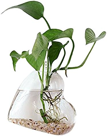 SQZW Heart Shape Wall Hanging Plant Terrarium Glass Wall Planter