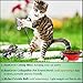 2 Mice toys for cats --- Rattling sound thrills, promotes agility, coordination - Boosts natural hunting, pouncing instinct - Interactive, Durable, Safe to Chew - Fun for Hours