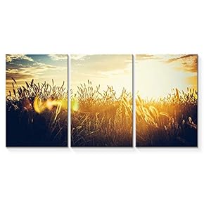 signwin 3 Piece Canvas Wall Art Beautiful Landscape...