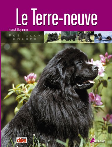 Le  terre-neuve