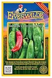 Everwilde Farms - 50 Anaheim Chile Hot Pepper Seeds