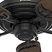 Hunter Indoor / Outdoor Ceiling Fan, with pull chain control - Sea Air 52 inch, Black, 53060