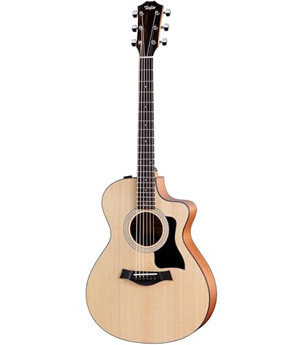 Amazon.com: Taylor 210ce Dreadnought Acoustic-electric Guitar