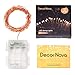 LED String Lights,DecorNova 19.7ft 60 LEDs Copper Wire String Lights IP44 Waterproof with Timer and 3AA Battery Case, Warm White (Set of 1)