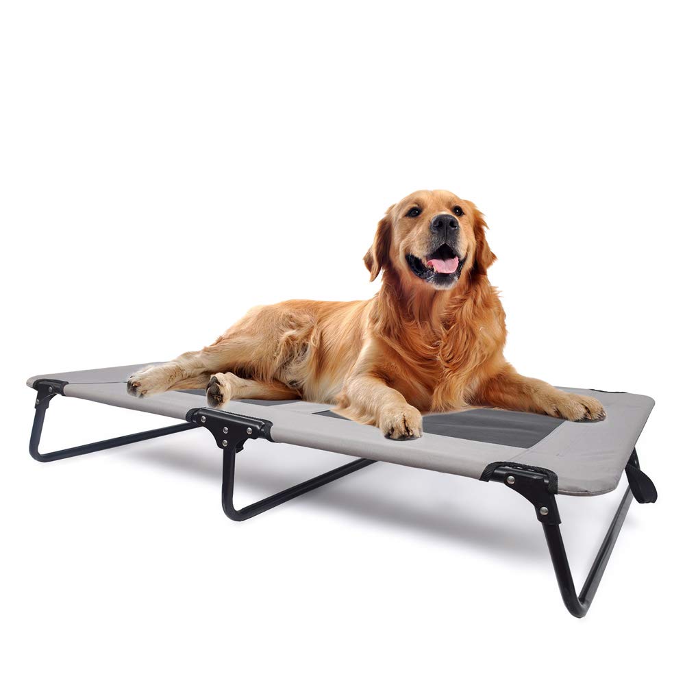 bunty foldable elevated dog bed