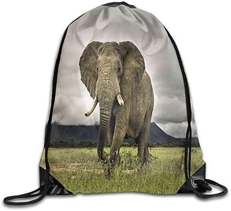 Drawstring backpack insulated cooler New Style Sack Bag Animals Elephant Big Ears Summer Beam Mouth Backpack