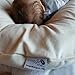 Extra Cover for Snuggle Me Organic Lounging and Co-Sleeping Beds | Organic Cotton, Ivory