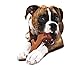 Nylabone Dura Chew Souper Bacon Flavored Hollow Stick Bone Dog Chew Toy
