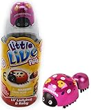 NEW! Little Live Pets - LIL LADYBUG and BABY Single Pack - Moves and Plays Just Like a Real Ladybug. STYLE 3