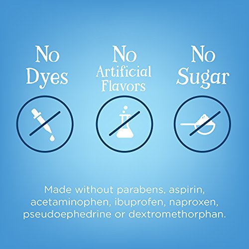 website template image