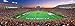 MasterPieces - 1000 Piece Jigsaw Puzzle, NCAA Auburn Tigers, Panoramic Football Stadium View, Fun for Adults and Family, 13