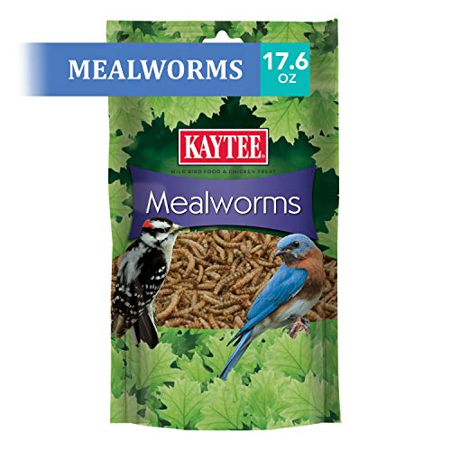 Kaytee Wild Bird Food Mealworms For Bluebirds, Wrens, Robins, Chickadees, Woodpeckers, Cardinals