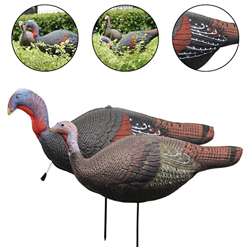 TargetEvo 2 Pack Jake & Hen Turkeys Decoy for Hunting with Stakes Carry