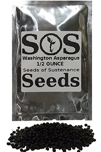 1/2 Ounce 750 Mary Washington Asparagus NON-GMO Vegetable Seeds