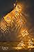 Ling's Moment Rose Gold Moroccan Lamp 10 LED Lights AA Battery Powered Boho Decor Glod String Lights for Wedding, Indoor, Bedroom, Curtain, Patio, Holiday, Party Decorations (Warm White)