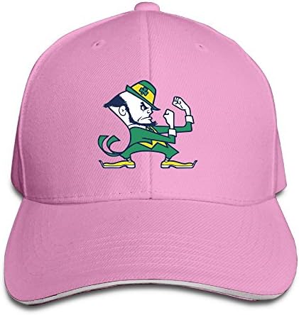 Notre Dame Fighting Irish Football Brian Kelly Crazy Sanwich Snapback Hats Cap