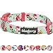 Blueberry Pet 9 Patterns Spring Scent Inspired Floral Rose Print Turquoise Dog Collar, Medium, Neck 14.5"-20", Adjustable Collars for Dogs