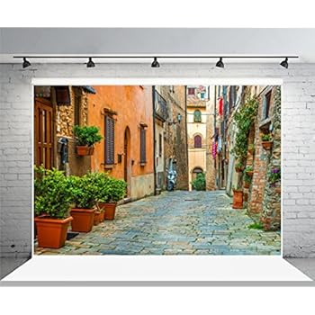 Laeacco 10x6.5ft Vinyl Backdrop Photography Background Italy Old Town Small Narrow Alley Street Landscape European Building Green Vine Children Adults Travel Theme Backdrop Photo Studio Props