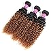 Soft Feel Hair 8A Brazilian Ombre Curly Hair 3 Bundles 100% Virgin Human Hair Extensions Two Tone 1B/30 Black to Blonde Ombre Brazilian Jerry Curly Hair Weaves 100g/pc (20 22 24)