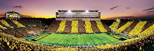 MasterPieces NCAA Iowa Hawkeyes Stadium Panoramic Jigsaw Puzzle, 1000-Piece