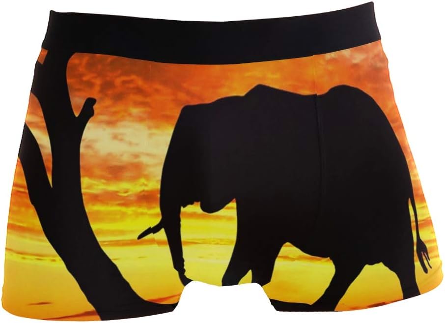 African Elephant Men's Sexy Boxer Briefs Stretch Bulge