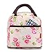 Chrysansmile Waterproof Picnic Lunch Bag Tote Insulated Cooler Travel Zipper Organizer Box