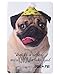 American Greetings Birthday Card for Kids (Doug the Pug)