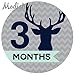 Modish Labels, 12 Monthly Baby Stickers, Baby Boy, Woodland, Deer, Antlers, Chevron, Mint, Navy Blue, Gray, Grey, Baby Month Stickers, Baby Book Keepsake, Photo Prop, Baby Shower Gift