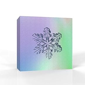 Canvas Wall Art - Snowflake Theme - Modern Home Art Stretched and Framed Ready to Hang - 12x12 inches