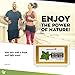 AROMAVITA Oil of Oregano Bar - Natural Plant Therapy Hand Soap & Body Wash Oregano Oil Extract Soap - Topical Skin Cleanser Soap Bar - for Acne, Eczema, Foot and Nail Problems, 2-pack