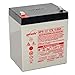 EnerSys Genesis (Yuasa) NP4-12 - 12 Volt/4 Amp Hour Sealed Lead Acid... primary