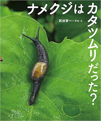 Amazon Fr ちしきのぽけっと 25 ナメクジはカタツムリだった ちしきのぽけっと 25 Livres