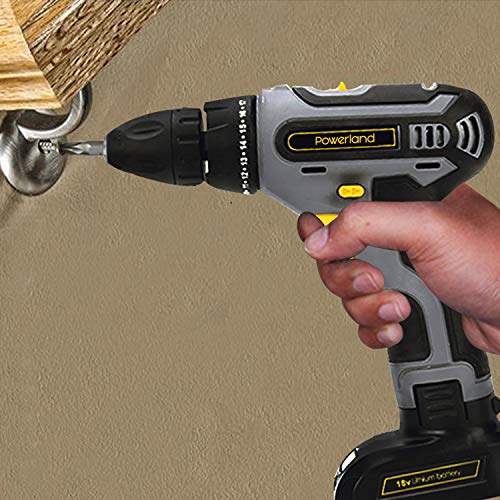 Werktough D011 18V Cordless Drill Driver 2 viable speed Powerful Screwdriver Lion Battery