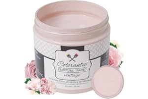 Colorantic | DUSTY ROSE Chalk Based Paint for Furniture Painting DIY, Cabinets, Glass - Multi-Surface Craft Paint- Non-Toxic | OLD PINK Decorative Painting for Wax Finish Wood Waverly (8 oz (Pack of