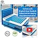 Daily Delux English Version #00 Capsule Holder with Improved Tamper (Free Pill Box & Screwdriver), 100 Holes Tray for Capsules, Filling Tools (Blue #00)