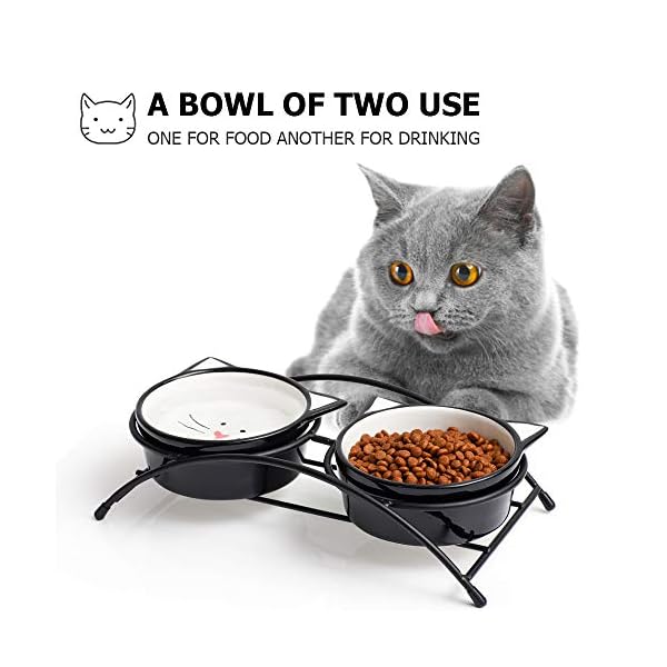 Y YHY Cat Bowls Elevated,Raised Cat Bowls for Food and Water,Ceramic