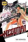 Negima! Vol. 33