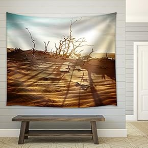Desert Landscape with Dead Plants in Sand Dunes Under Sunny Sky. Global Warming Concept. Nature Background - Fabric Wall Tapestry Home Decor - 51x60 inches