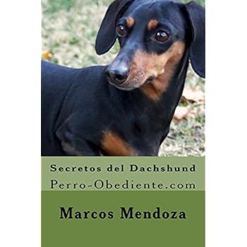 Secretos del Dachshund: Perro-Obediente.com Secretos del Dachshund: Perro-Obediente.com
