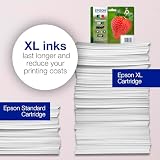 Epson 29 Strawberry Multipack Ink Cartridges 4-Color Claria Home view 4