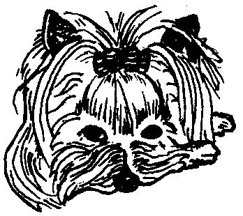 Dog Rubber Stamp - Yorkshire Terrier-5E (Size: 1-3/4
